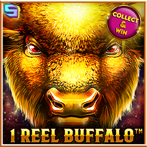 1 Reel Buffalo