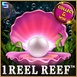 1 Reel Reef